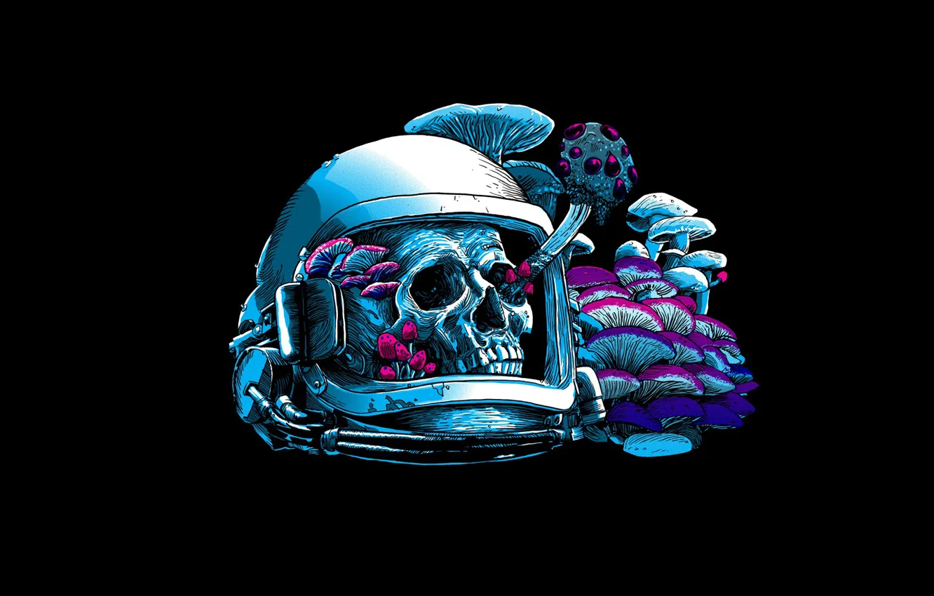 Photo wallpaper mushrooms, skull, helmet