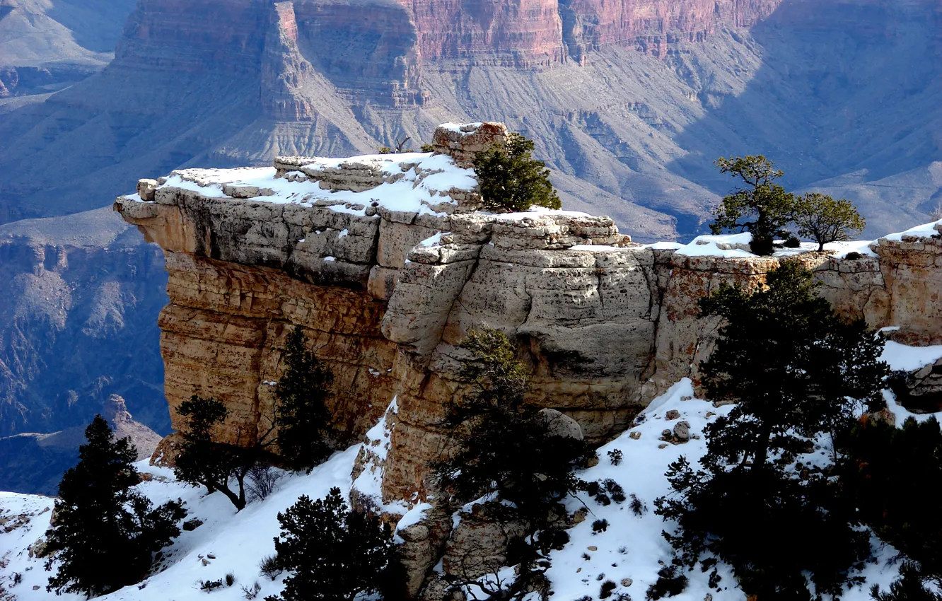 Photo wallpaper snow, trees, mountains, rocks, gorge