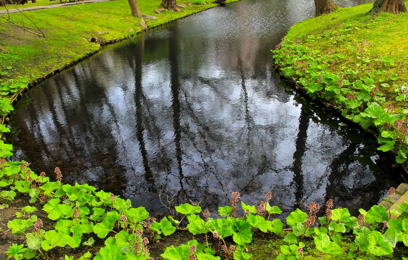 Photo wallpaper water, park, lake, pond