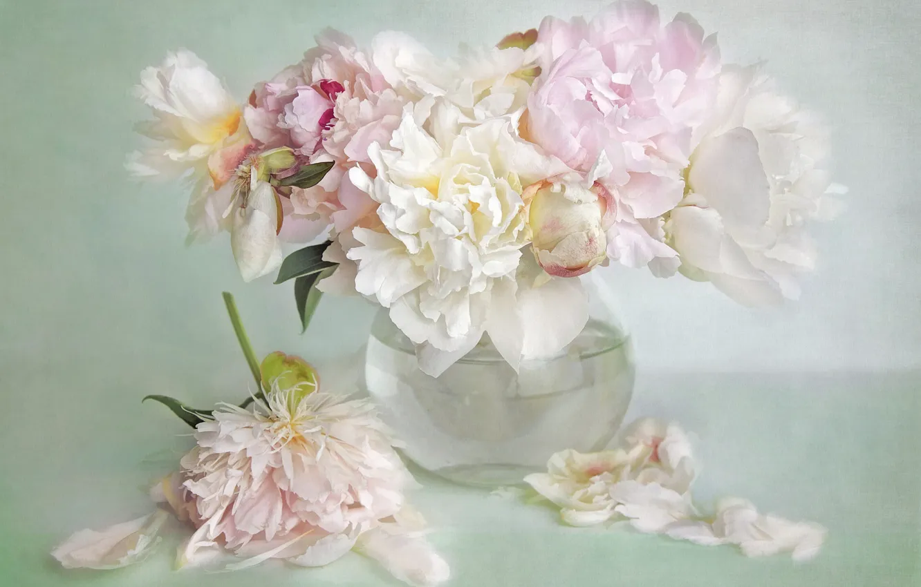 Photo wallpaper glass, water, flowers, background, bouquet, petals, art, vase