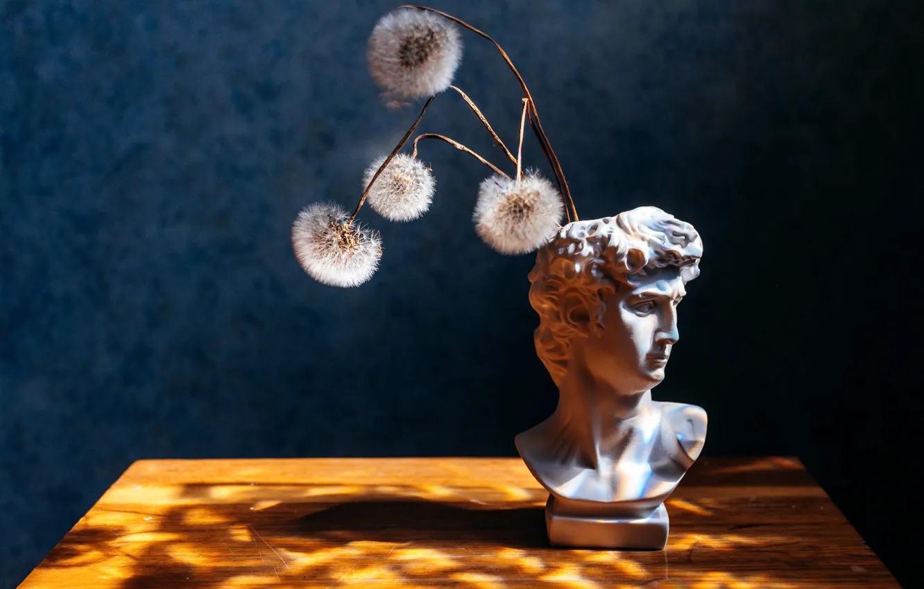 Photo wallpaper flowers, dandelion, head, sculpture, still life, bust, Michelangelo, David