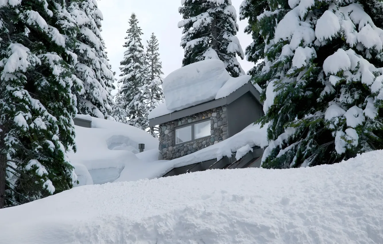 Photo wallpaper Nature, Nature, Winter house, Snow Forest, Winter house, Snowy forest