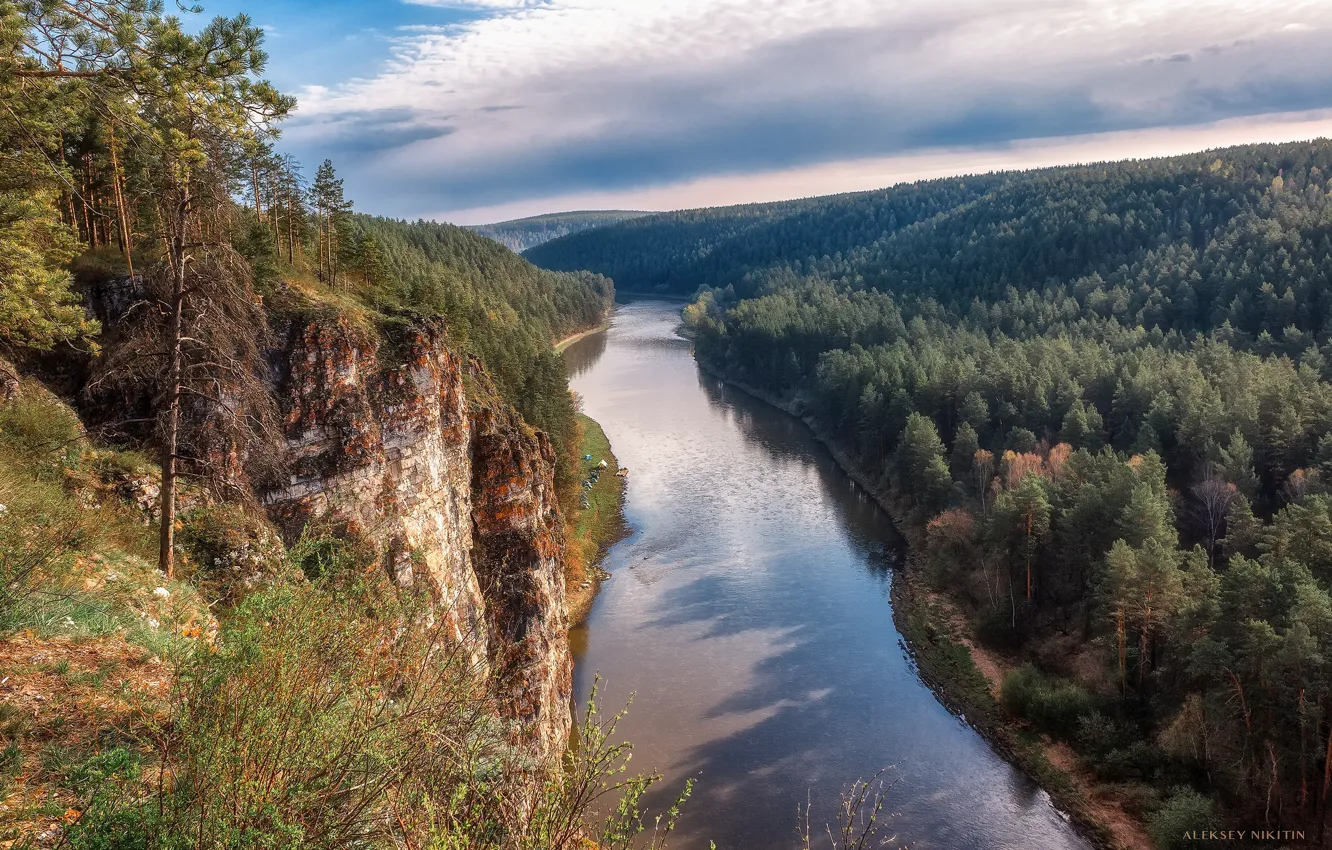 Photo wallpaper forest, landscape, nature, river, shore, Alexey Nikitin