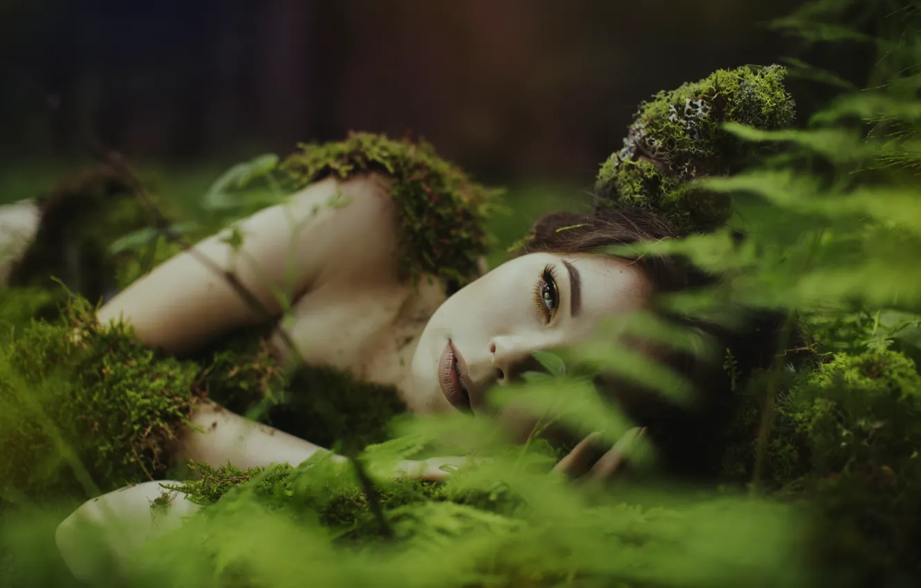 Photo wallpaper forest, look, girl, style, mood, moss, portrait