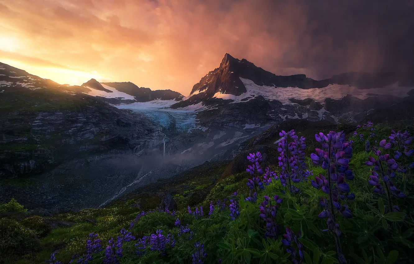 Photo wallpaper summer, the sky, the sun, clouds, light, snow, flowers, mountains