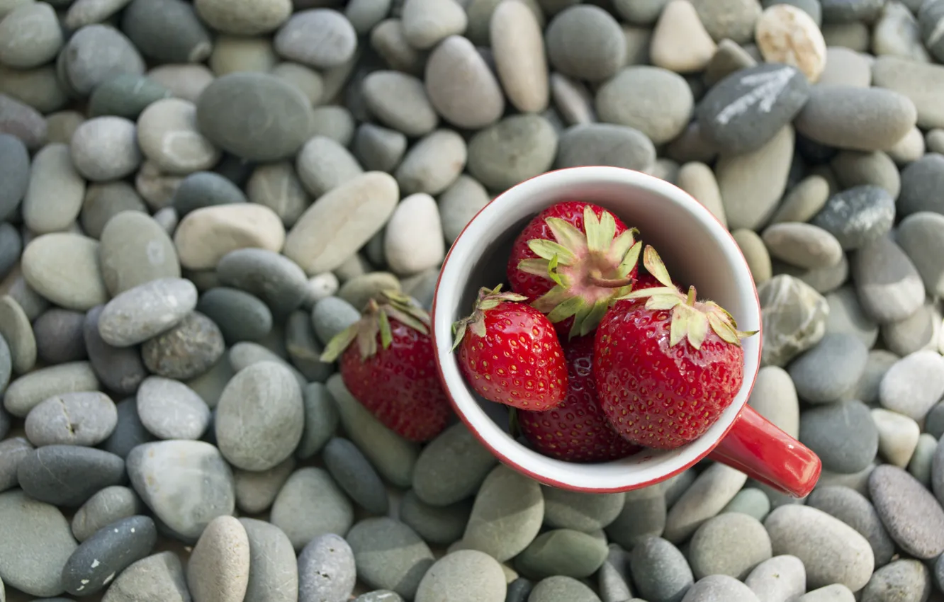 Photo wallpaper berries, stones, strawberry, strawberry, berries, pebbles