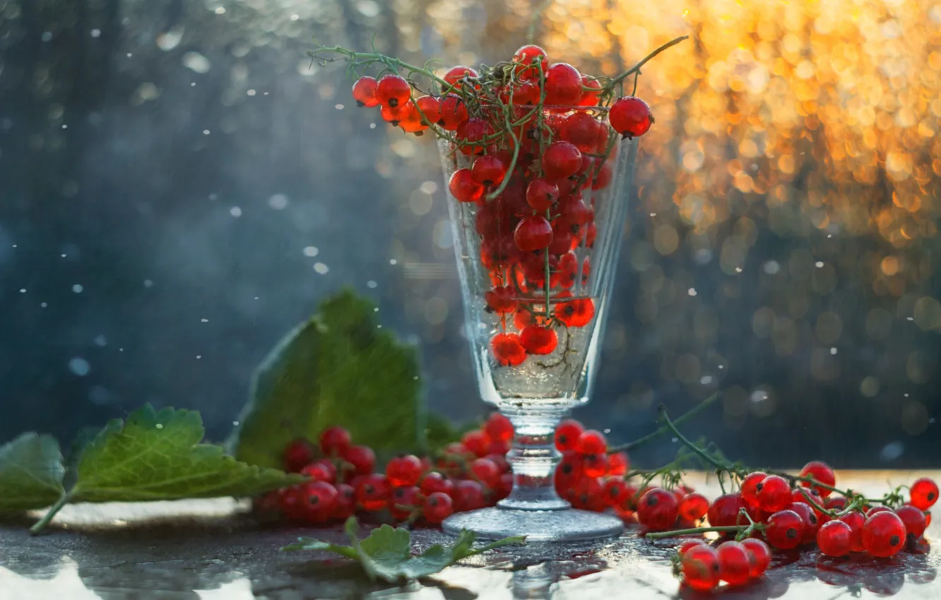 Photo wallpaper red, glass, berries, currants