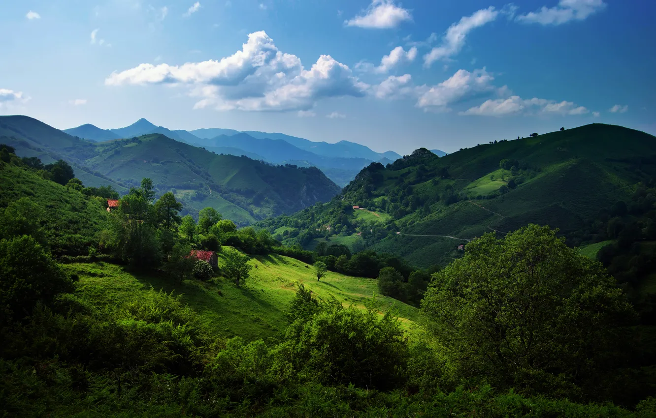 Photo wallpaper greens, summer, the sky, grass, clouds, trees, hills, Spain