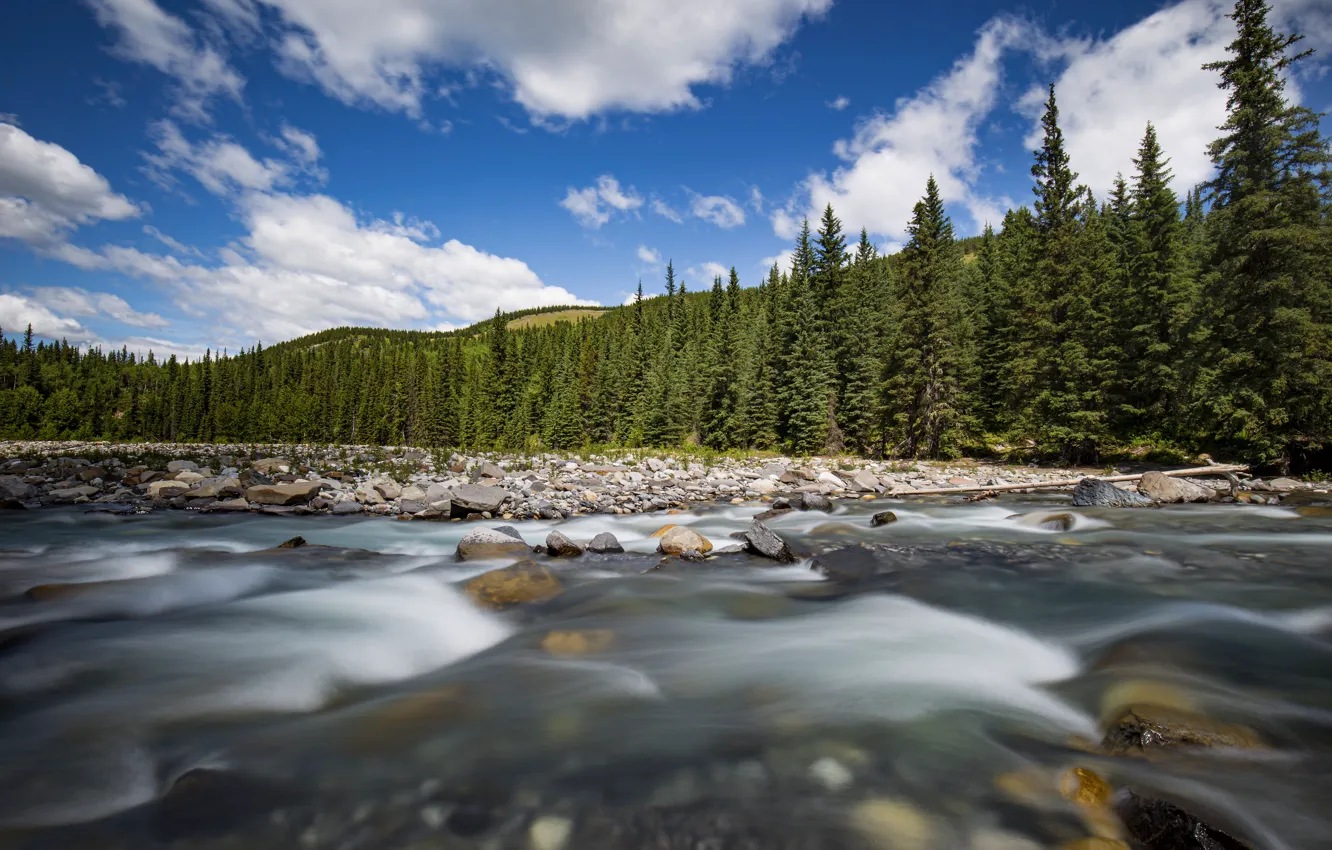 Photo wallpaper forest, the sky, water, clouds, mountains, river, blue, stones