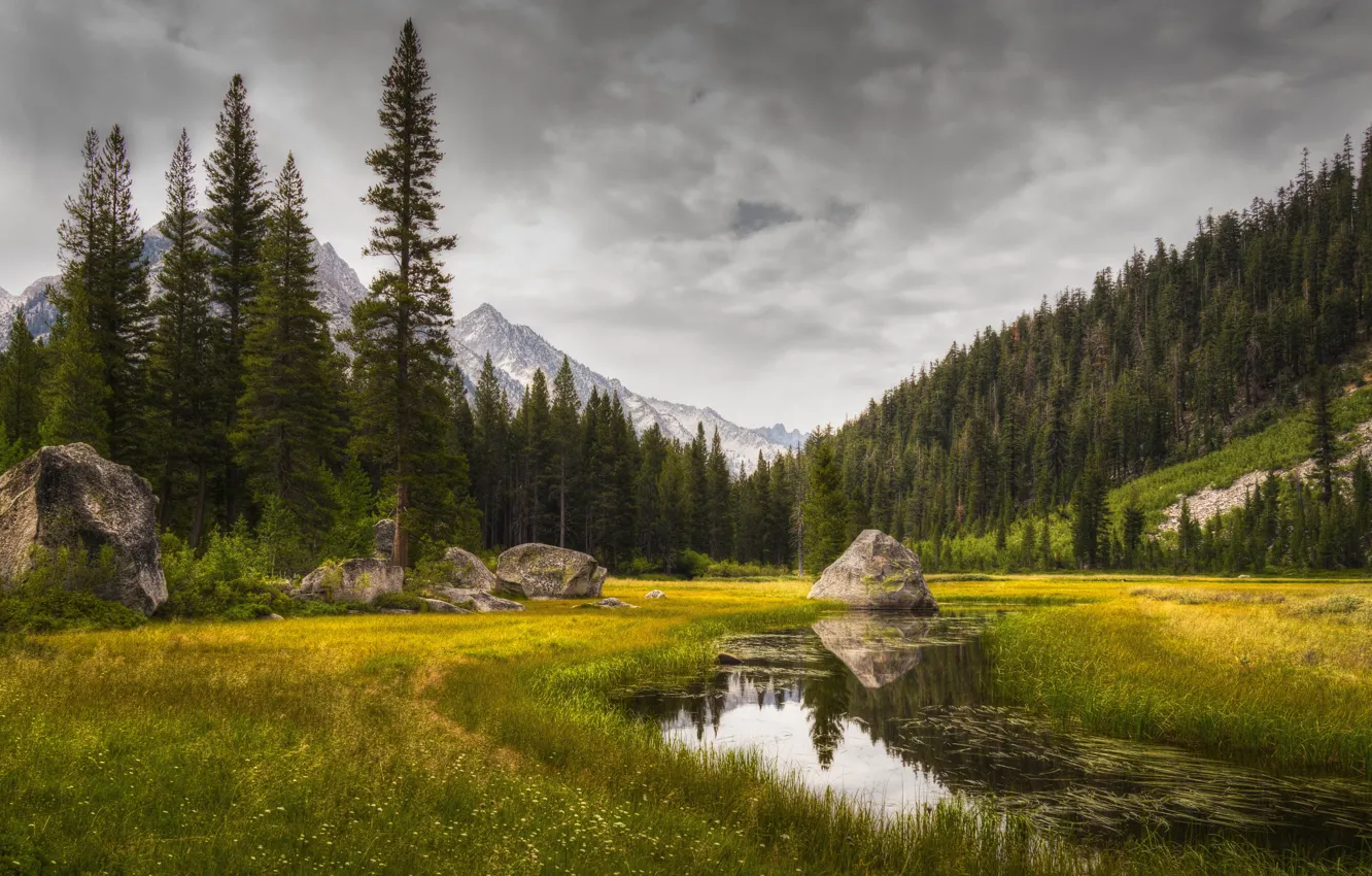 Photo wallpaper forest, mountains, nature, lake, river, stones