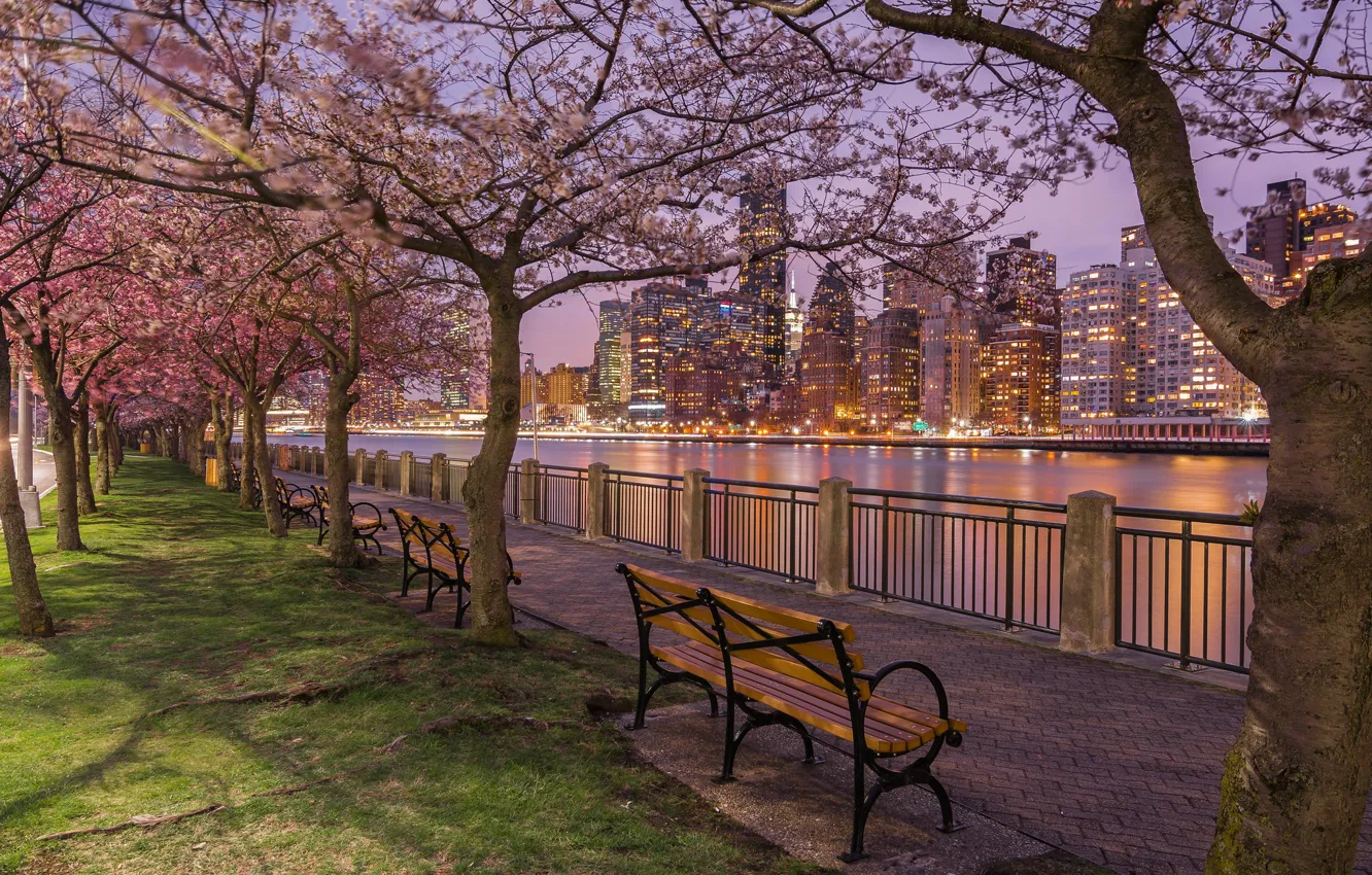 Photo wallpaper trees, Strait, river, building, home, New York, night city, Manhattan