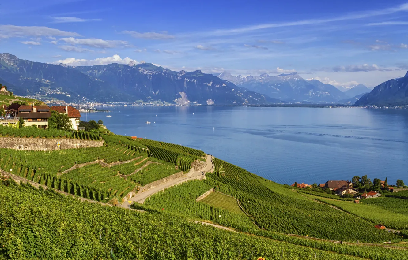 Photo wallpaper field, mountains, nature, lake, photo, home, Switzerland, Lavaux