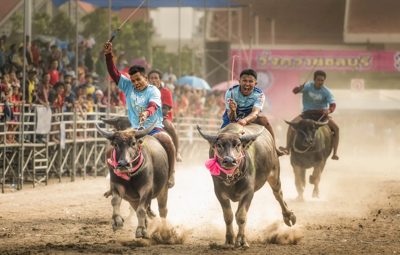 Photo wallpaper race, sport, running