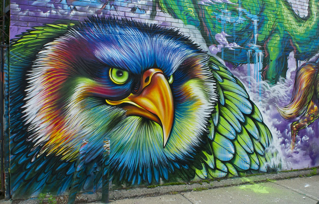 Photo wallpaper wall, bird, graffitti