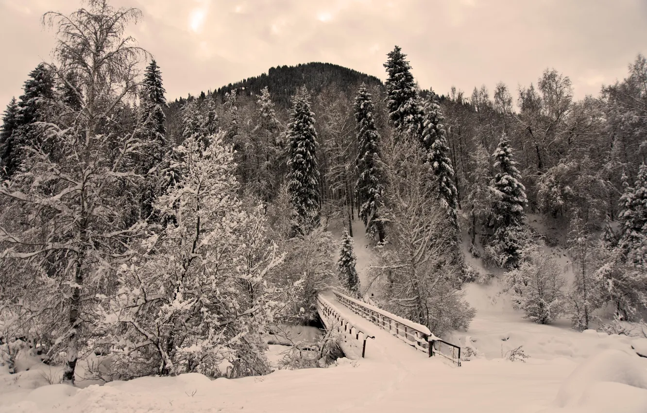 Photo wallpaper winter, snow, landscape