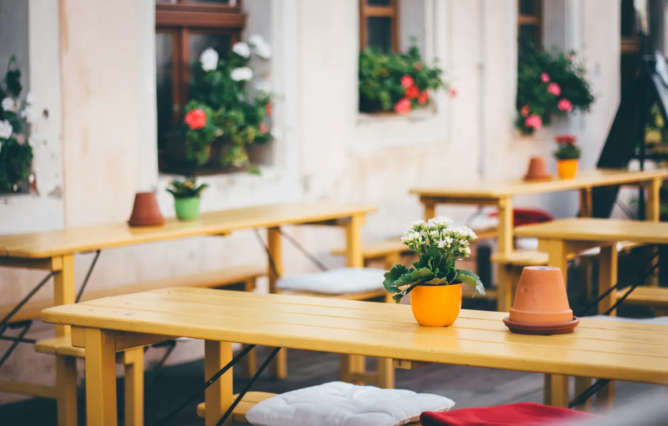 Photo wallpaper flowers, coffee, cafe, jars, coffee shop