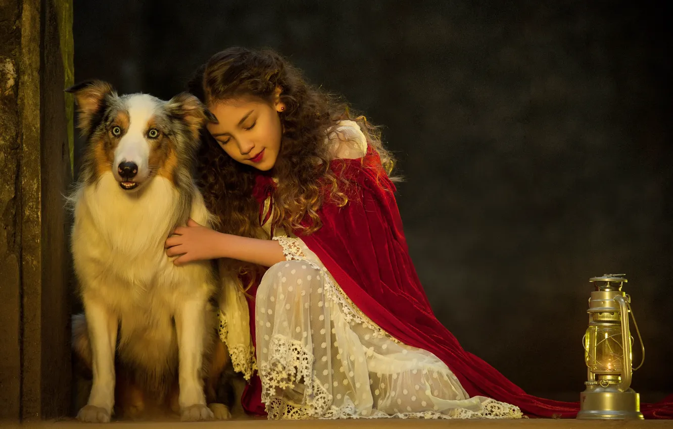 Photo wallpaper each, mood, dog, lights, friendship, girl, curls