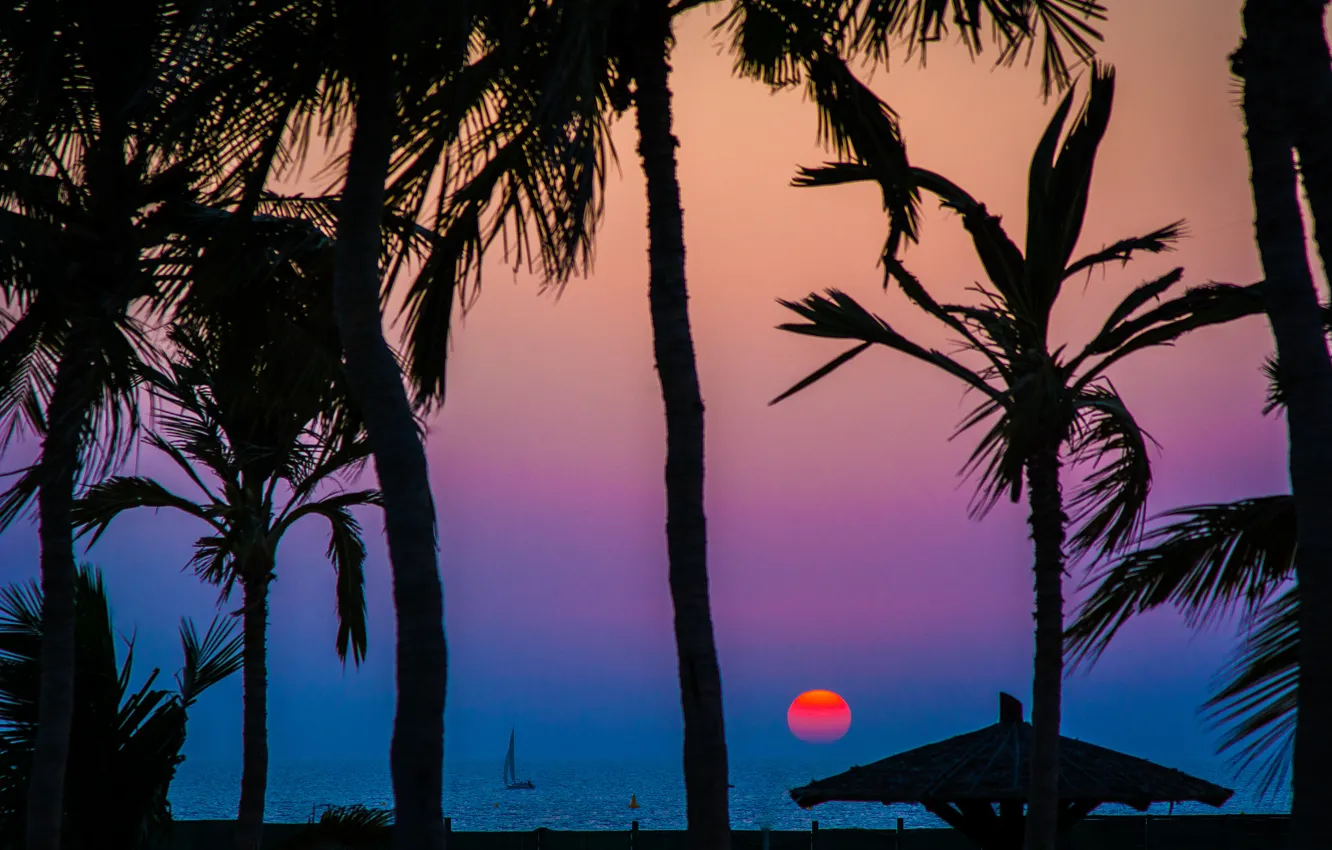 Photo wallpaper sea, the sky, the sun, sunset, palm trees, boat, silhouette, sail