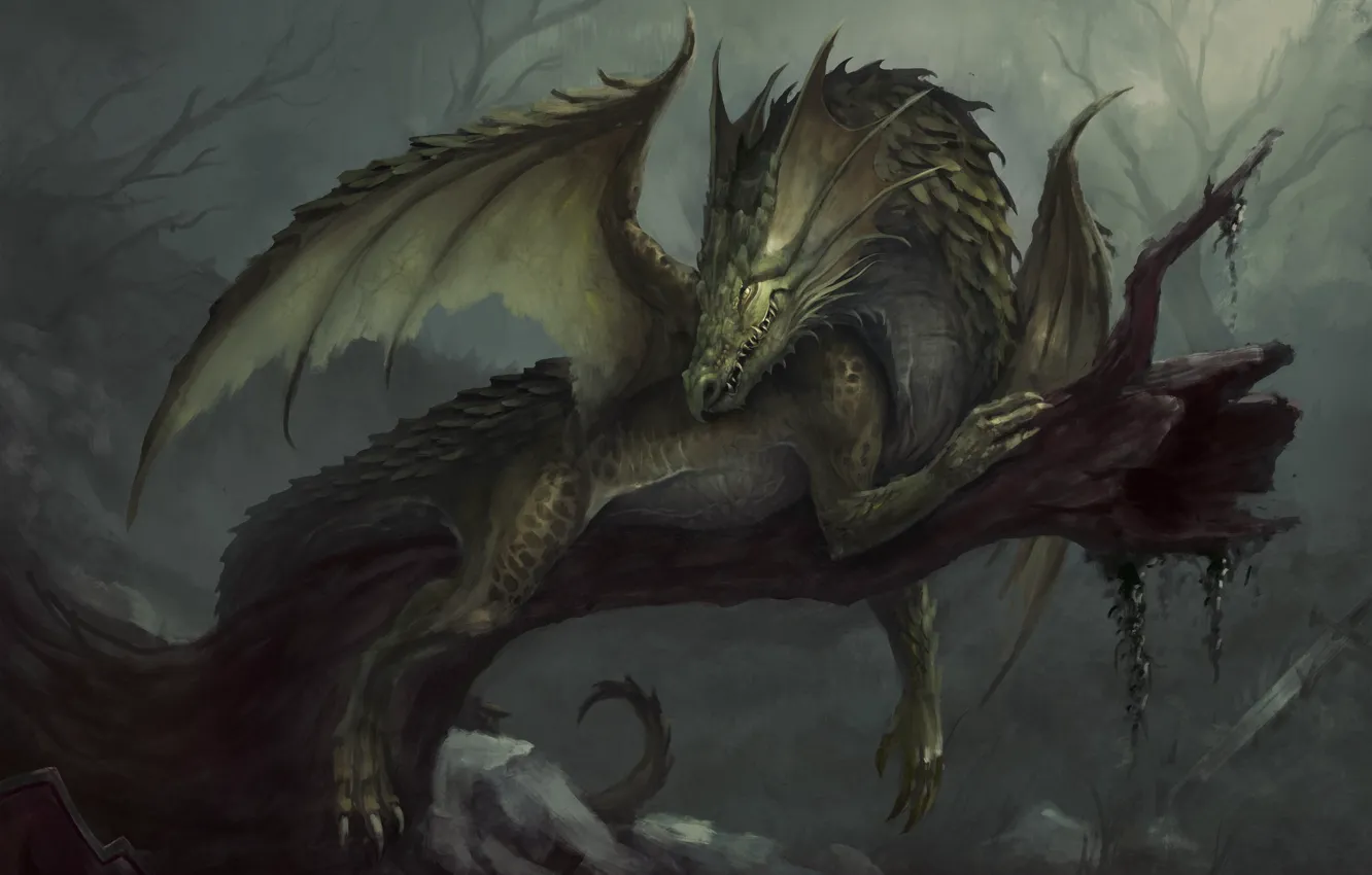 Photo wallpaper dragon, fantasy, art, dragon, Nicolás Espinoza