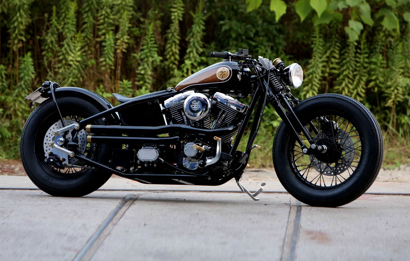 Photo wallpaper Bike, Harley-Davidson, Custom, Bobber