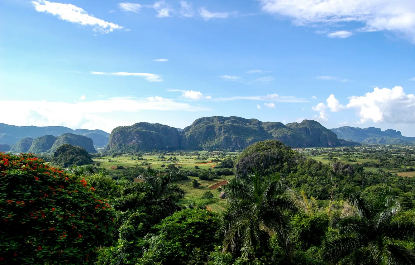 Photo wallpaper forest, the sky, clouds, trees, landscape, mountains, nature, river