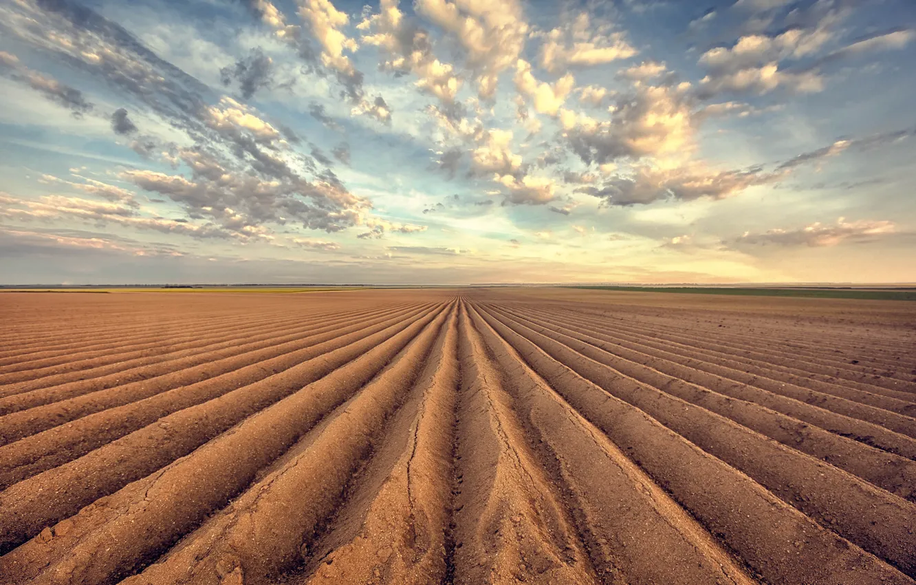 Photo wallpaper the sky, earth, arable land