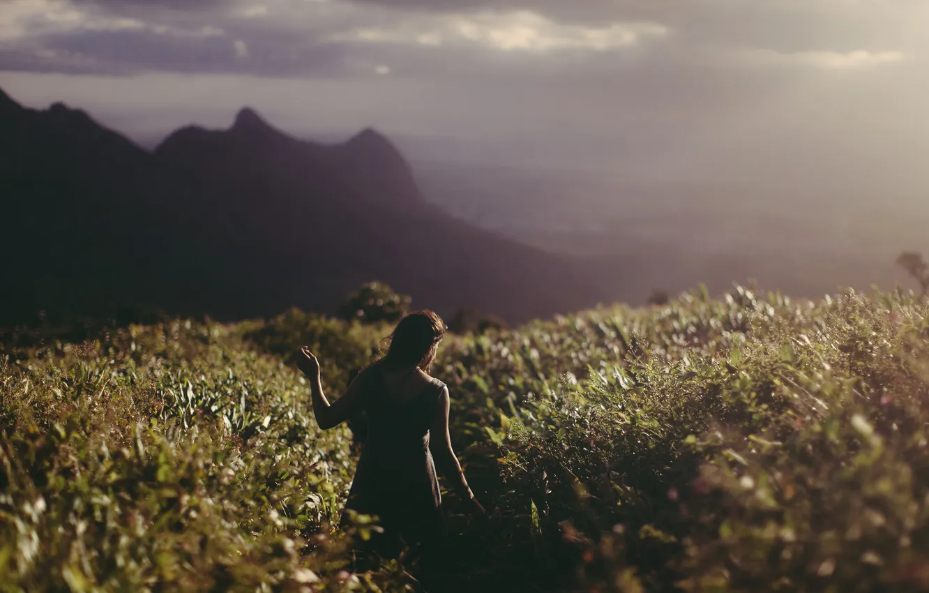 Photo wallpaper girl, field, mood, brunette, plants