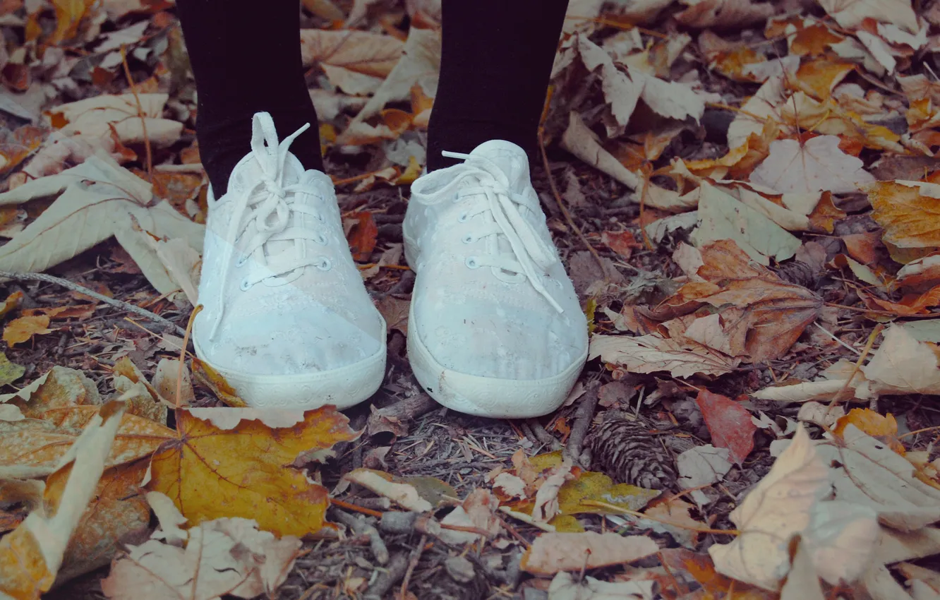 Photo wallpaper autumn, leaves, shoes, sneakers, tights