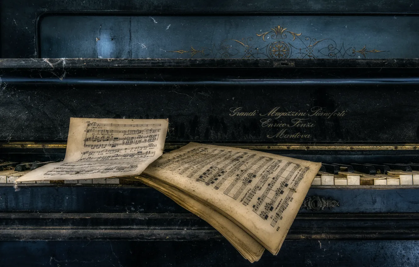 Photo wallpaper notes, keys, best sinfony