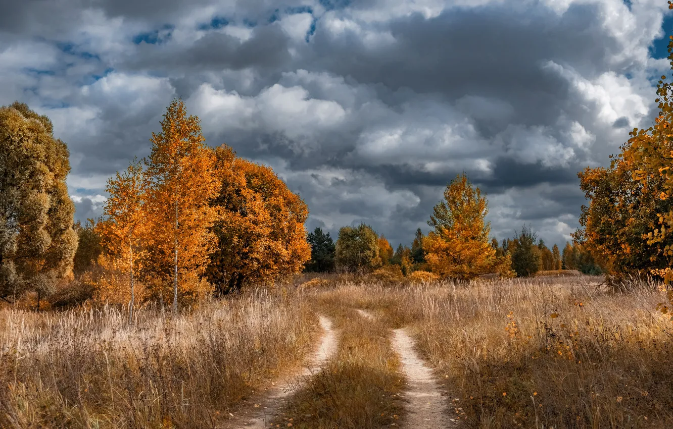 Photo wallpaper road, field, autumn, forest, the sky, clouds, trees, clouds