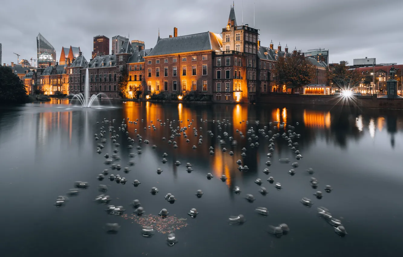 Photo wallpaper Netherlands, The Hague, Hofvijver