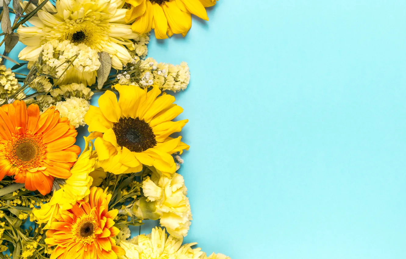 Photo wallpaper sunflowers, gerbera, clove