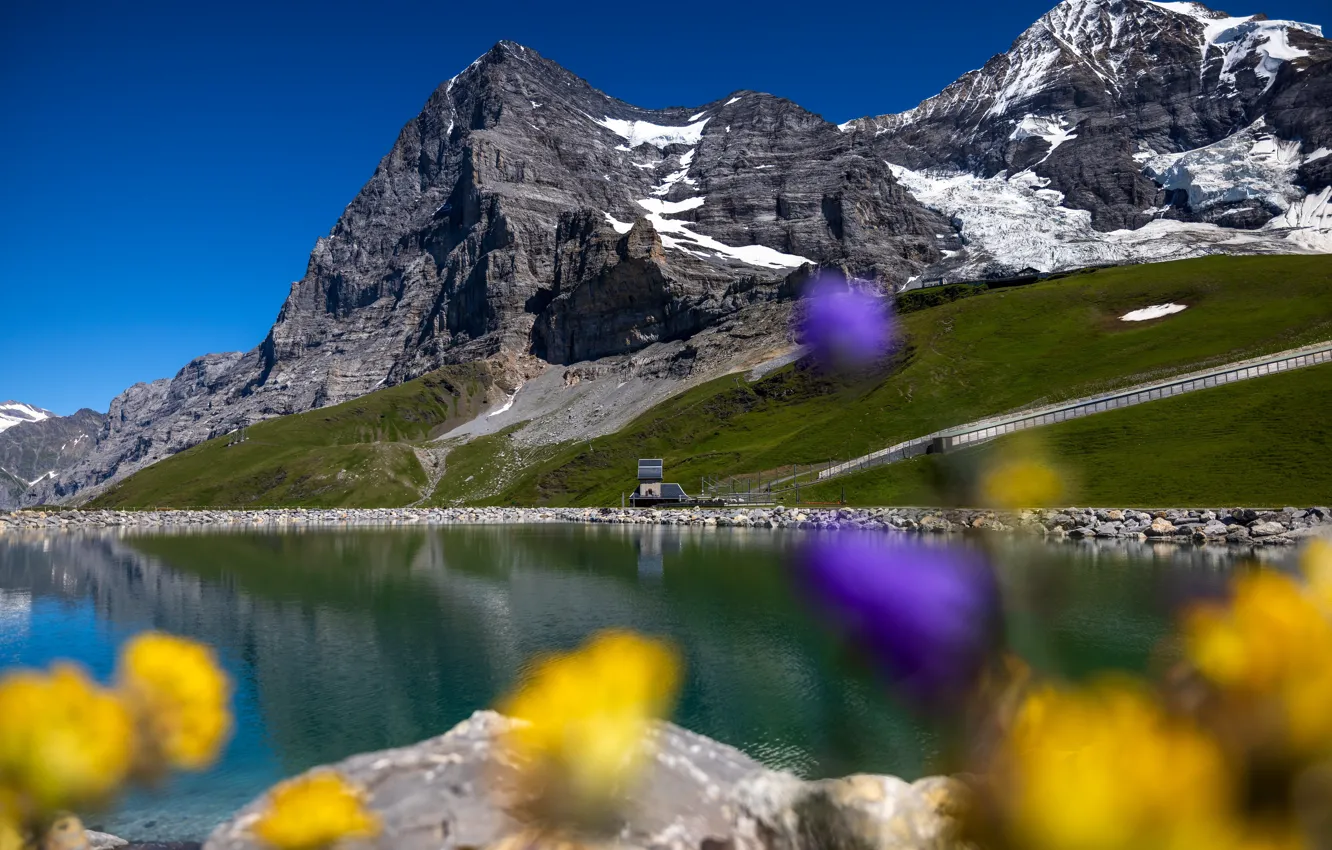 Photo wallpaper snow, flowers, mountains, lake, stones, shore, the descent, structure