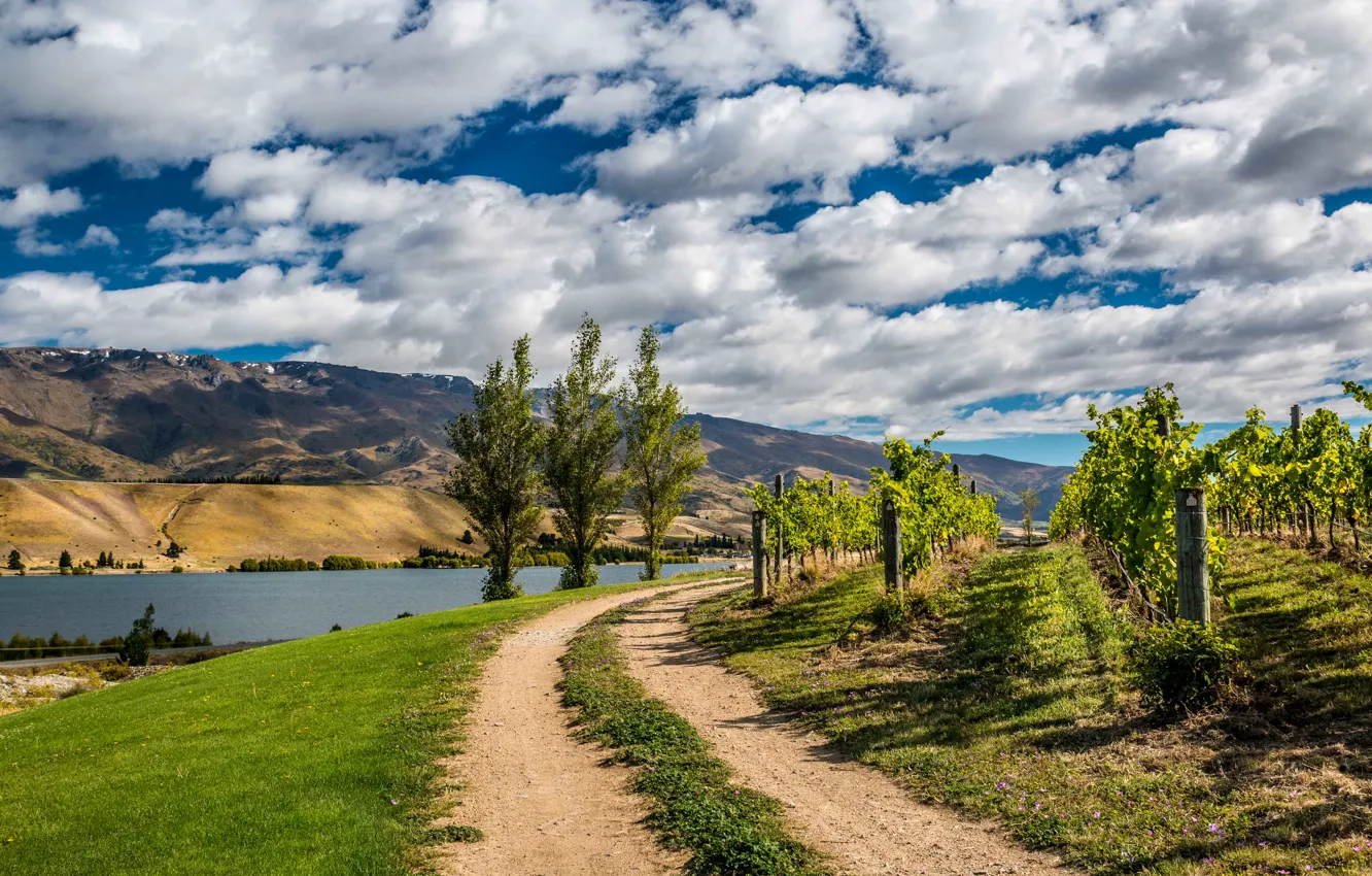 Photo wallpaper road, the sky, clouds, trees, mountains, river, New Zealand, vineyard