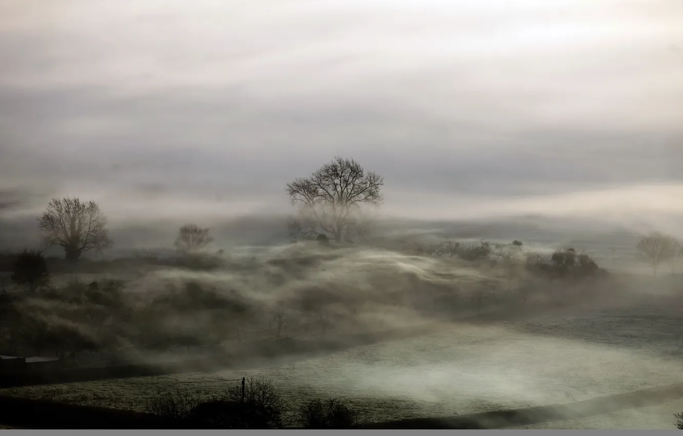 Photo wallpaper field, landscape, night, fog