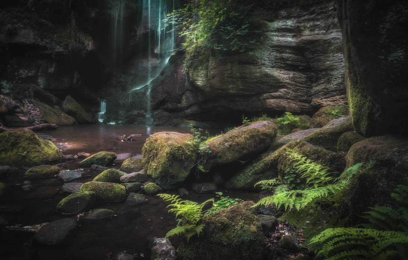 Photo wallpaper nature, stones, rocks, waterfall, moss, fern