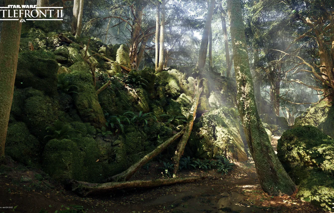 Photo wallpaper forest, nature, stones, Star Wars Battlefront 2, Mazs Castle Forest
