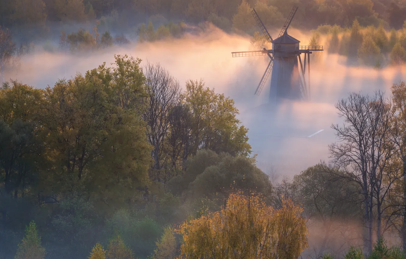Photo wallpaper autumn, trees, landscape, nature, fog, dawn, morning, mill