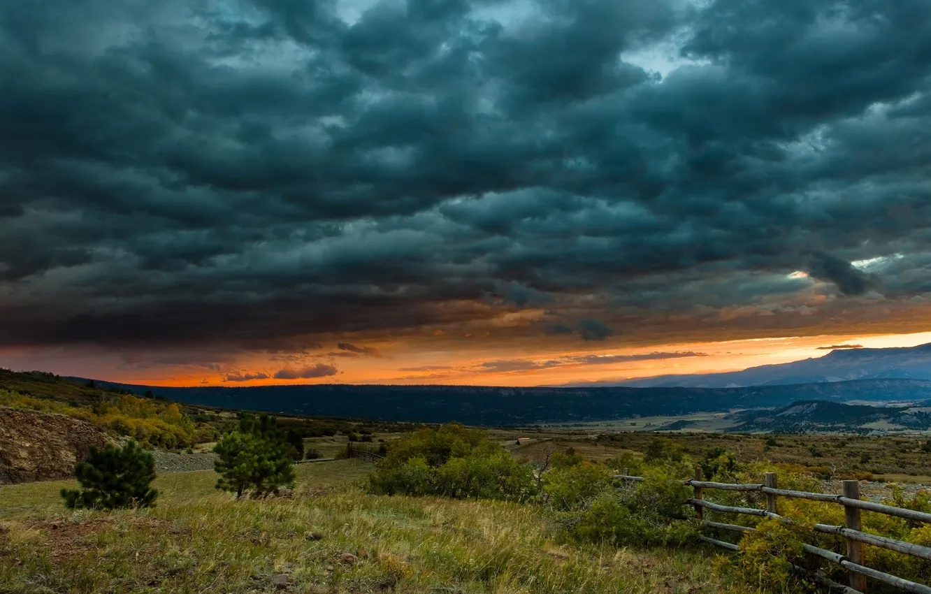 Photo wallpaper the sky, grass, landscape, sunset, clouds, the fence, the bushes, sky