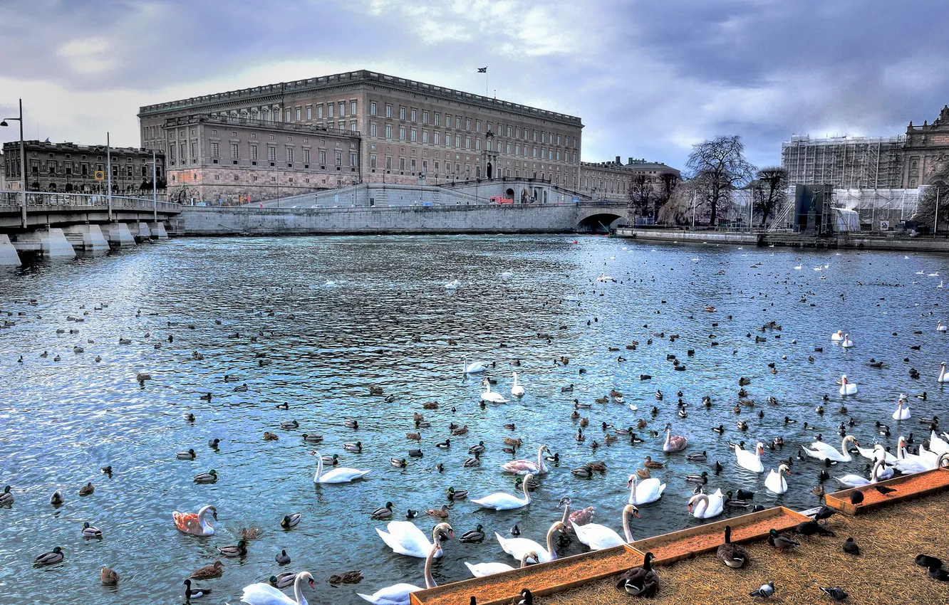 Photo wallpaper the sky, clouds, birds, bridge, home, swans, Sweden, promenade