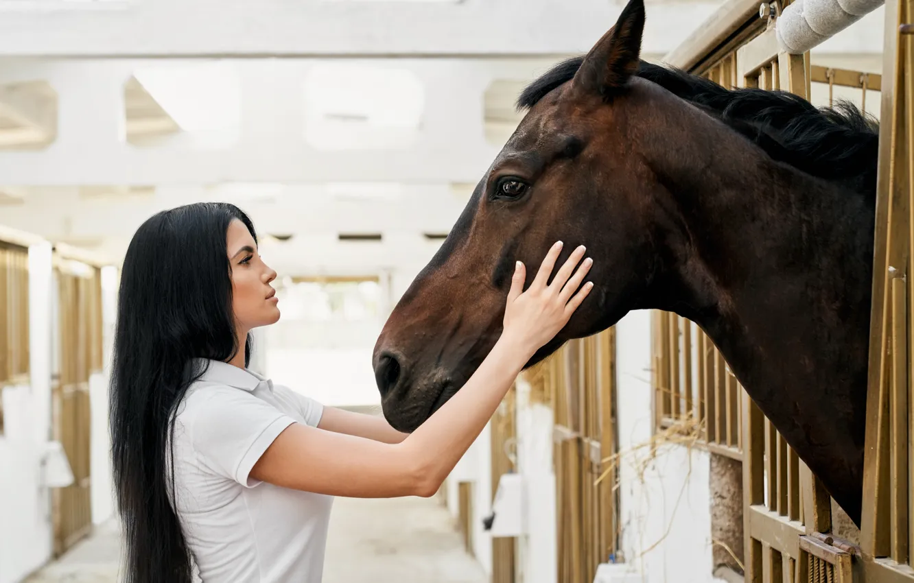 Photo wallpaper look, girl, pose, each, horse, horse, hands, brunette