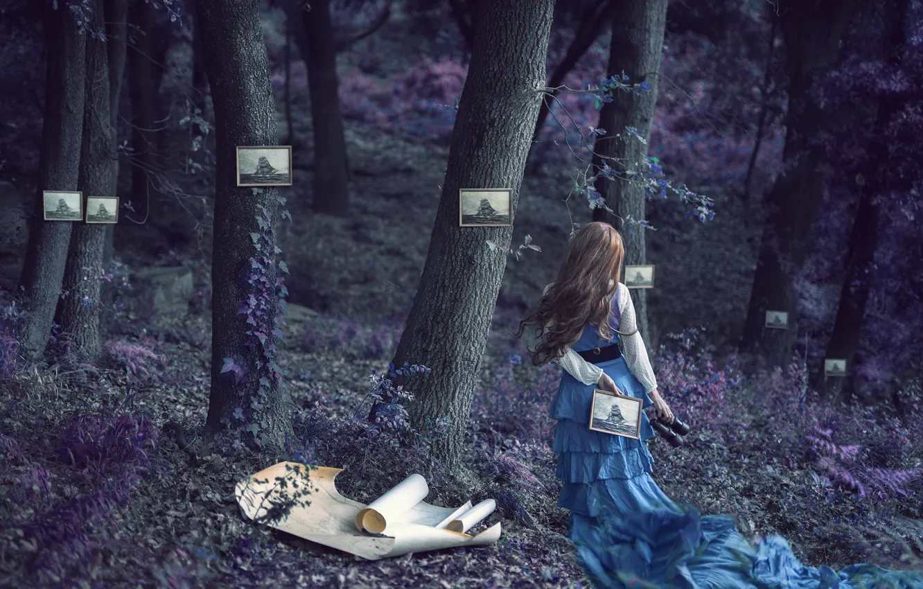 Photo wallpaper forest, girl, pictures