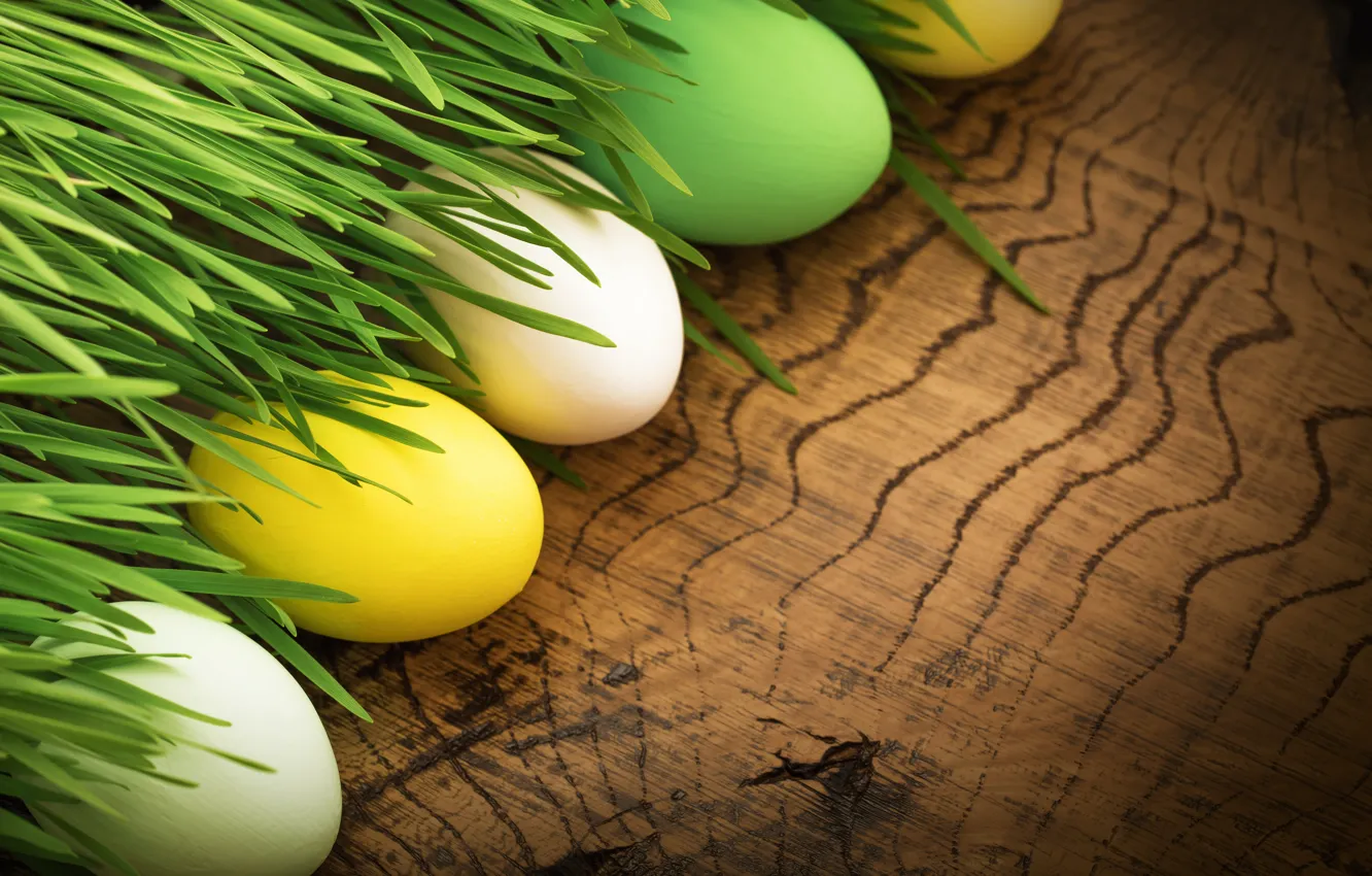 Photo wallpaper grass, flowers, eggs, spring, Easter, flowers, spring, Easter
