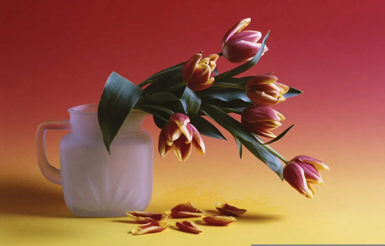 Photo wallpaper bouquet, tulips, pitcher