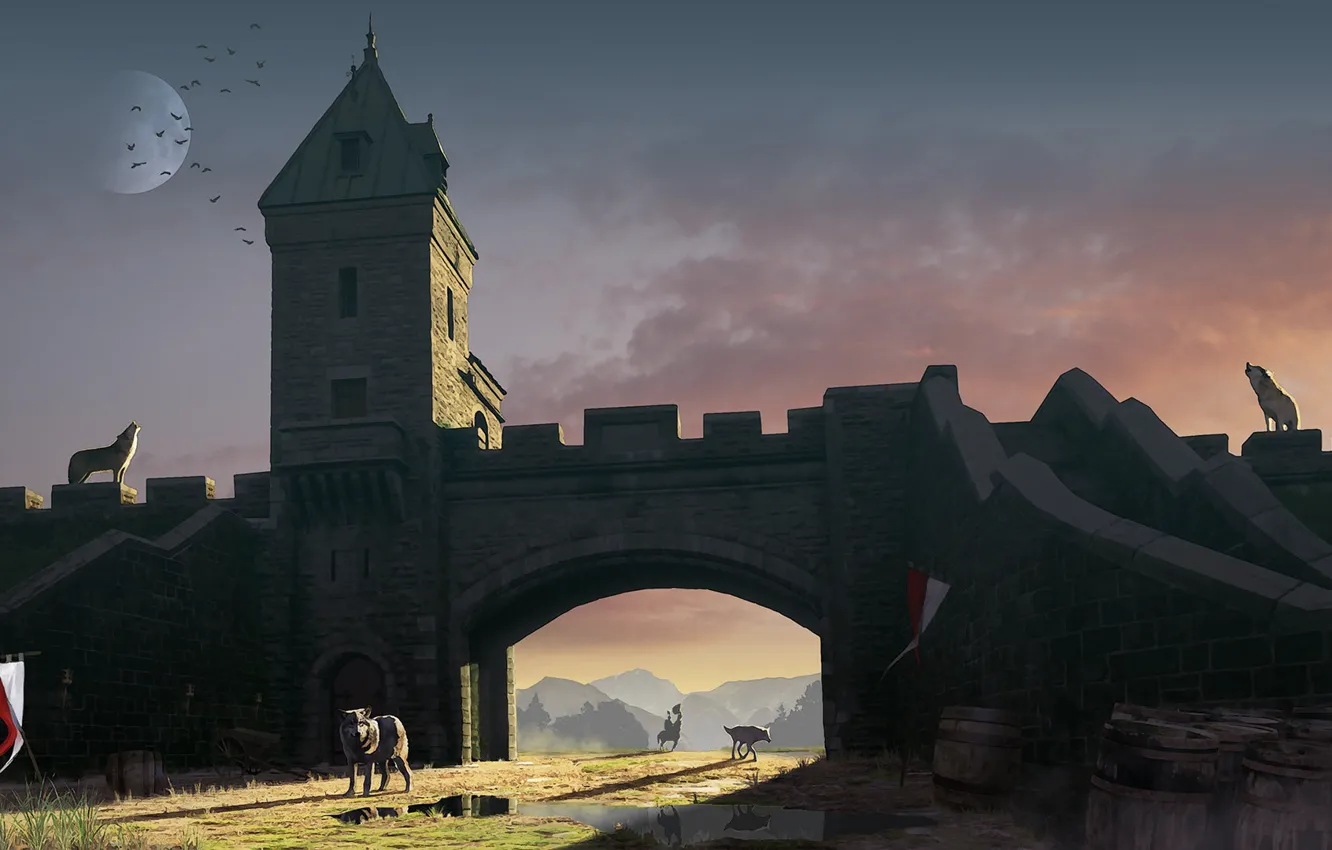 Photo wallpaper wall, wolf, arch, barrel, Nobody here