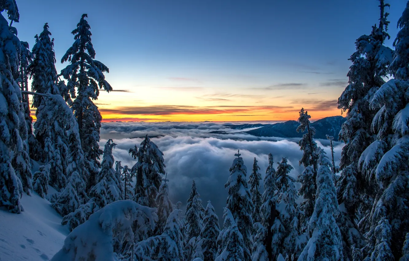 Photo wallpaper winter, forest, clouds, snow, trees, sunset, mountains, ate