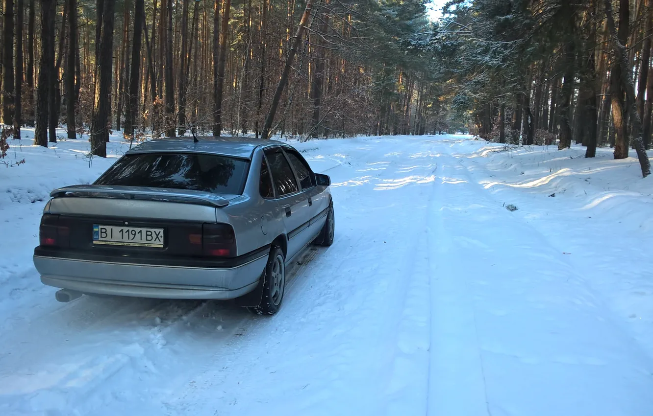 Photo wallpaper winter, forest, trees, Opel, vectraa, Vectra