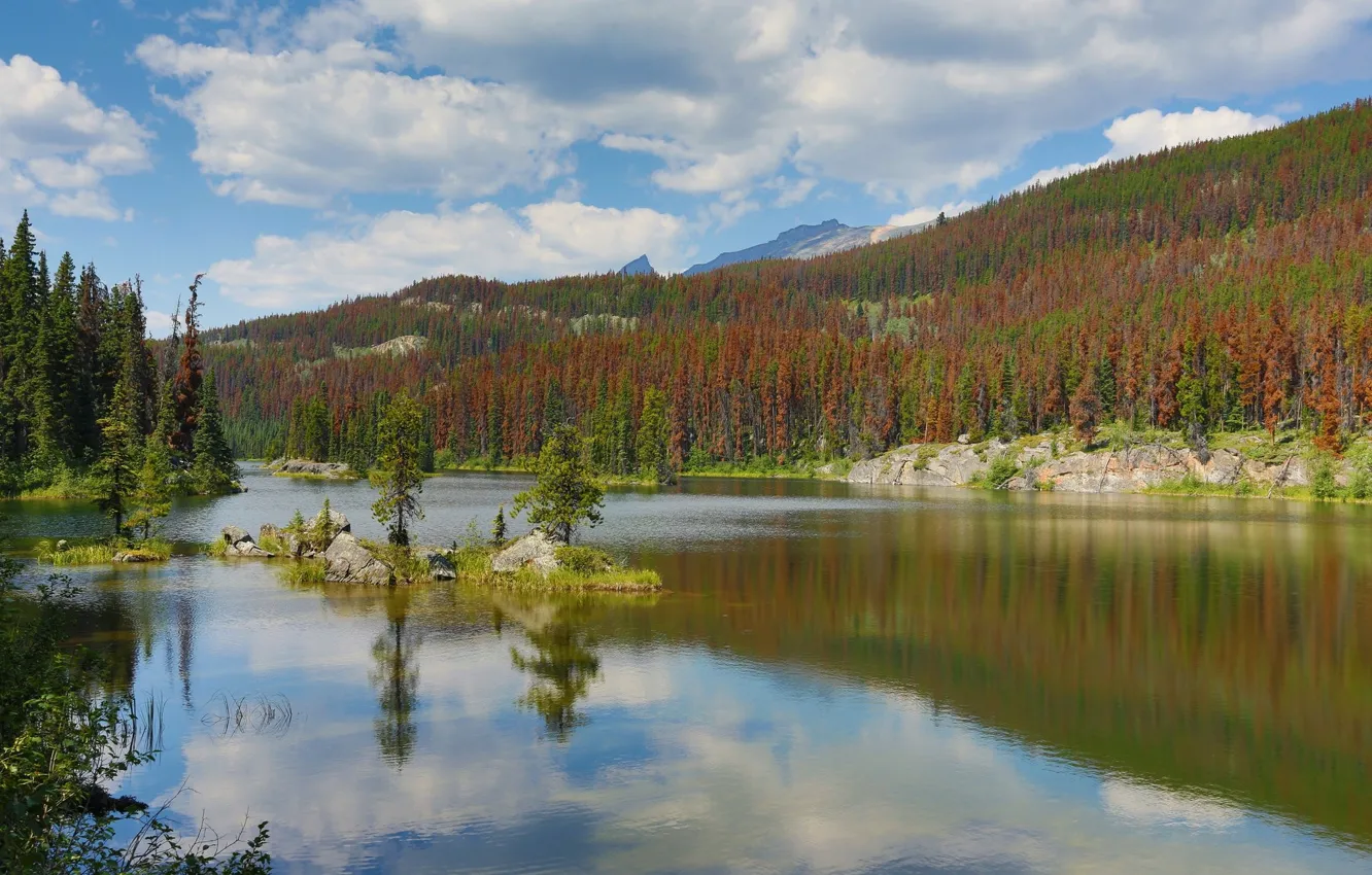 Photo wallpaper forest, landscape, mountains, lake
