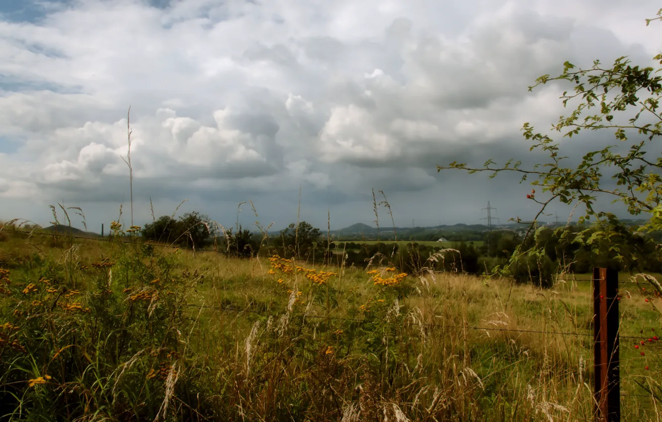 Photo wallpaper field, summer, the sky, grass, clouds, branches, overcast, posts