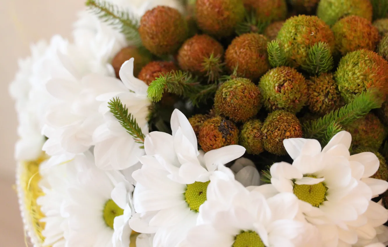 Photo wallpaper flowers, chamomile, bouquet, bumps